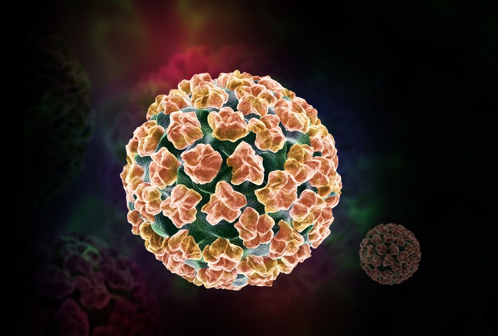 human papillomavirus sa katawan