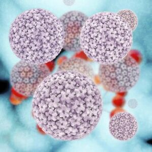 mga molekula ng human papillomavirus